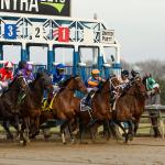 ABR Sunday Selections: Full-Card Picks for Sept. 28 from Belmont at the Big A